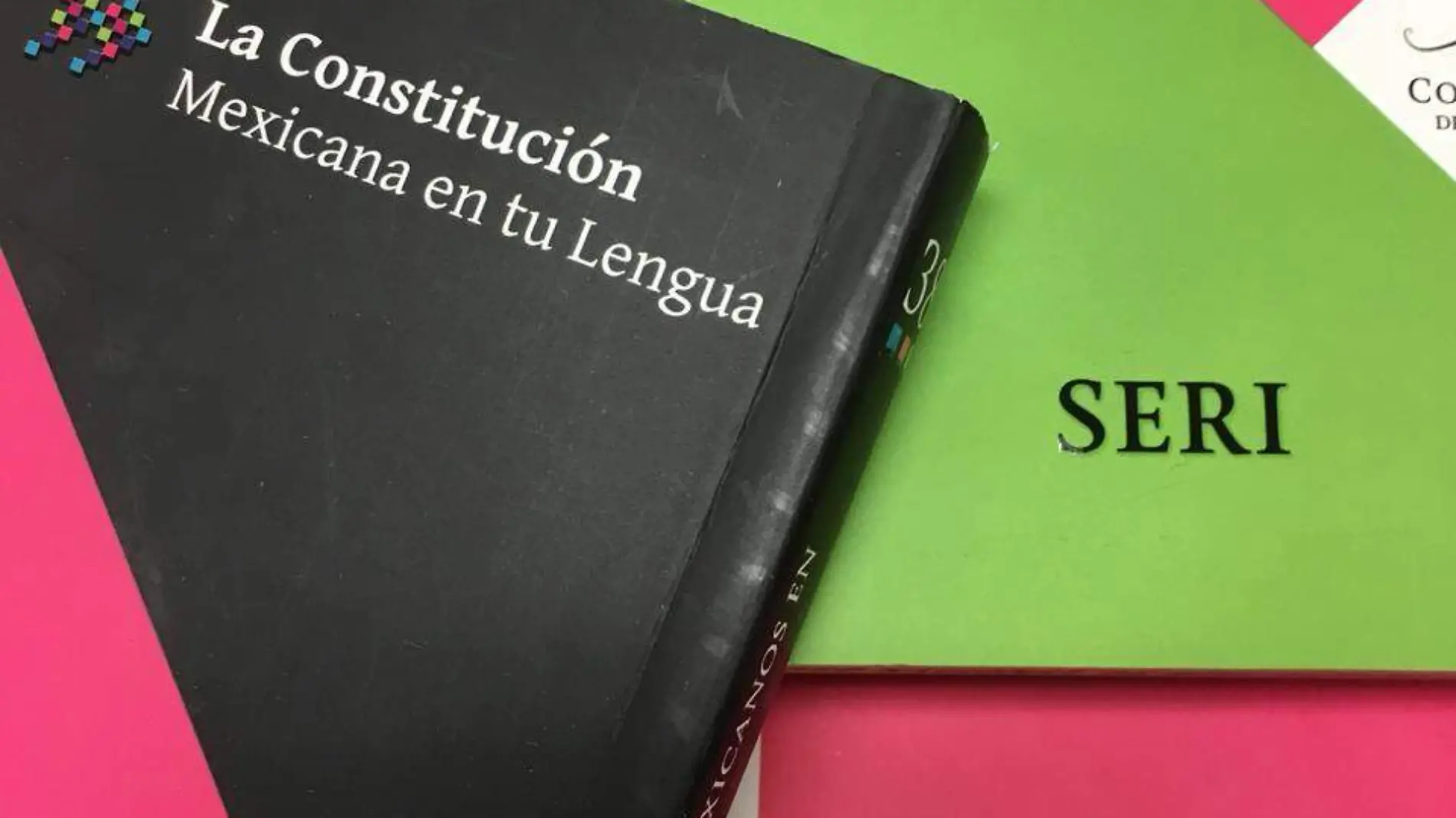 Constitución Política en lenguas indígenas (6)